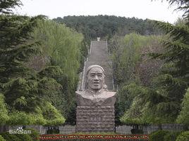 大寨村[峨山縣塔甸鎮塔甸村民委員會下轄村]