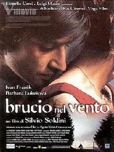 燃燒的薔薇 燃燒的薔薇