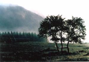 黃崗梁國家森林公園