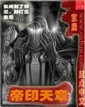 帝印天章 帝印天章