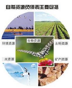 自然資本 自然資本