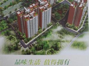 宣恩興隆四季天城