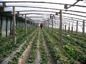 （圖）武家溝鎮