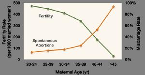 胚胎植入前遺傳學篩查