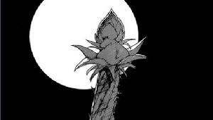 面具男[《火影忍者》中的人物]