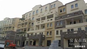 唐島金灣 唐島金灣