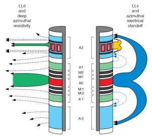 微側向測井 微側向測井