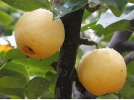 馬山鄉[廣西壯族自治區橫縣馬山鎮]