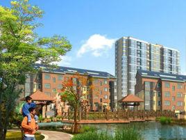 國大全城 國大全城