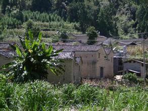平山自然村[雲南省隴川縣城子鎮平山自然村]