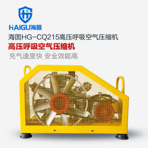 空氣呼吸器充氣泵 空氣呼吸器充氣泵