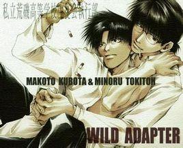 常夜燈[Wild Adapter中的歌曲]