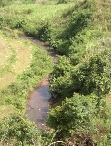 下南蚌村 下南蚌村