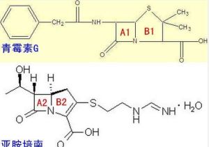 碳青黴烯類