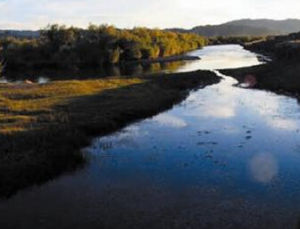 阿爾泰山東南部地區