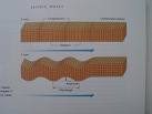 （圖）地震縱波與橫波圖解