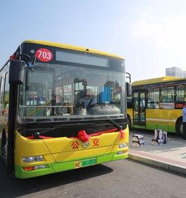 漳州公交703路 漳州公交703路