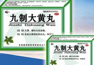 大黃丸 大黃丸