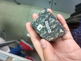 閃長玢岩 閃長玢岩