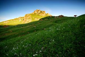 （圖）空中草園
