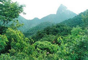 森林公園[陝西延安]