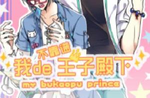 我的不靠譜王子殿下 我的不靠譜王子殿下