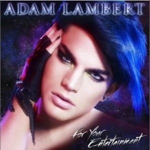 專輯《For your entertainment》封面