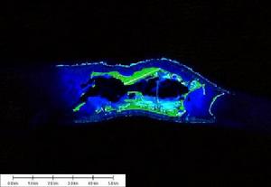 帕邁拉環礁衛星圖像