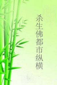 殺生佛都市縱橫 殺生佛都市縱橫