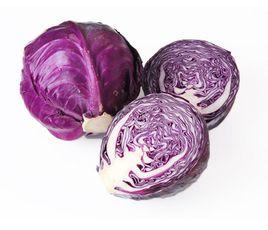 紫色包心菜 紫色包心菜