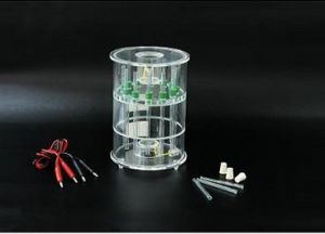 圓盤電泳 圓盤電泳