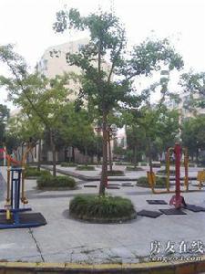 浦江世博家園七街坊 浦江世博家園七街坊