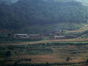 故布子村 故布子村