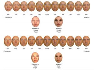研究者把參與者的面部融合到具有理想魅力的面孔和毫無魅力的面孔之中，變化的間隔為10%。