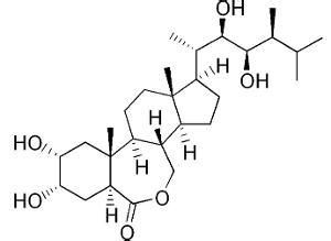 油菜素內酯 油菜素內酯