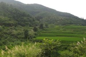 板田腳村 板田腳村