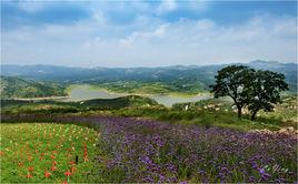 沐心雙馬山旅遊度假區
