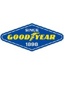 美國固特異輪胎橡膠公司