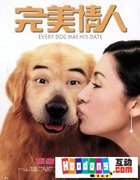 《完美情人》 《完美情人》