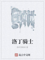 洛丁騎士 洛丁騎士