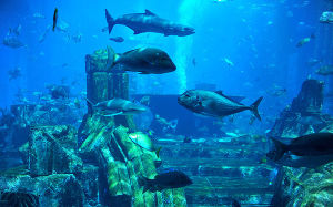 亞特蘭蒂斯：失落的帝國