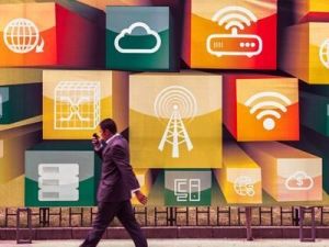 脫網人群 脫網人群