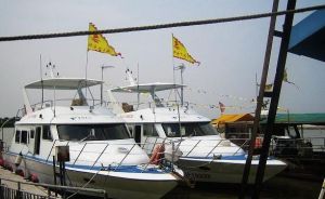 萬頃沙自游公社