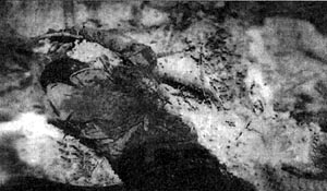 1952年10月20日 1952年10月20日