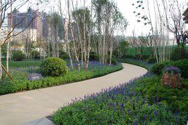 加州1885 加州1885