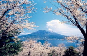 櫻島火山