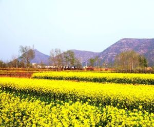 樊韓王村 樊韓王村