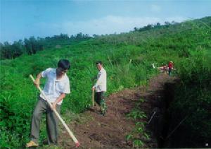 （圖）白沙農場