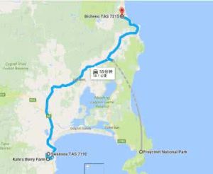 特里普拉邦 特里普拉邦