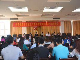 共青團南寧市委員會 共青團南寧市委員會